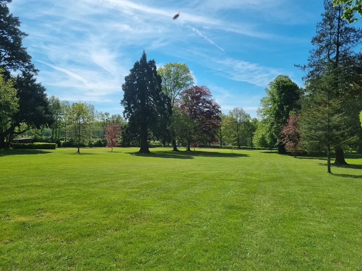 Jardin entretenu — LG Espaces Verts